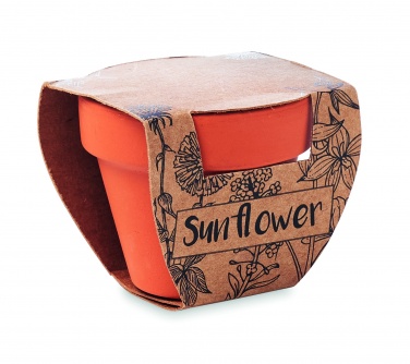 Logotrade Werbeartikel das Foto: Terracotta-Topf Sonnenblume