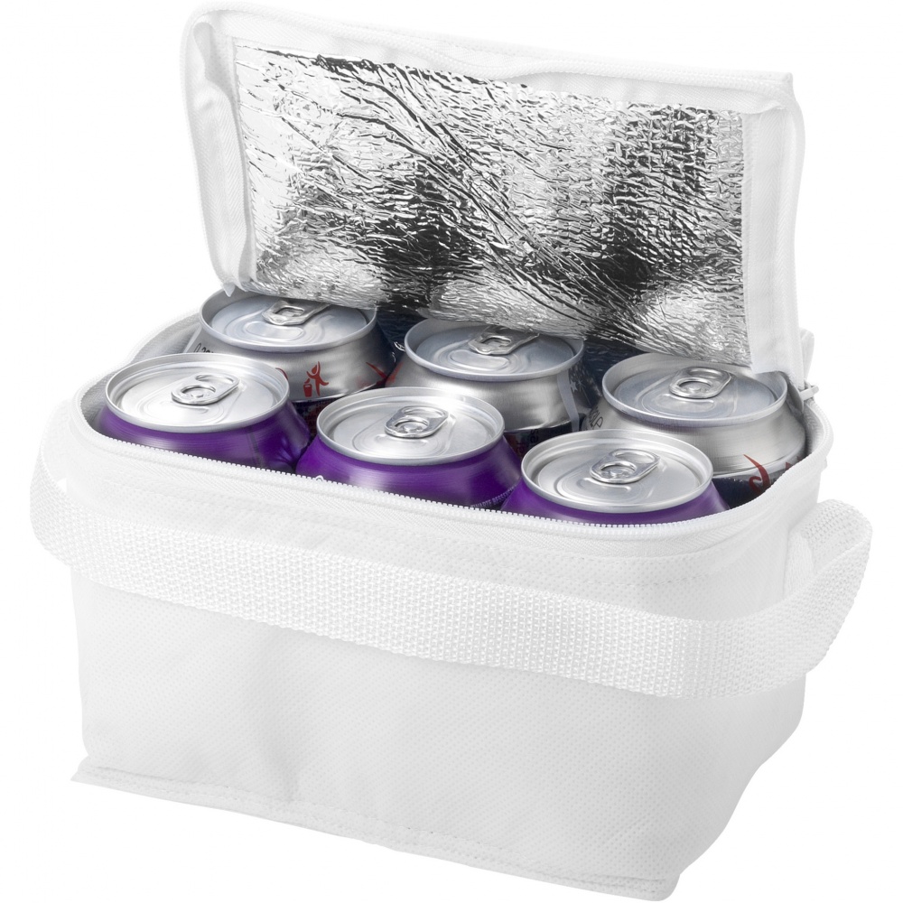 Logo trade promotional giveaways image of: Spectrum 6-can cooler bag 4L