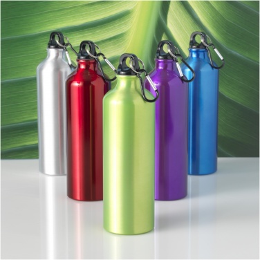 Logo trade corporate gifts picture of: Oregon 770 ml aluminium water bottle with carabiner