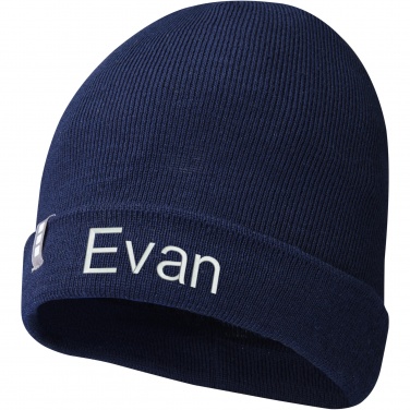 Logotrade promotional item picture of: Hale Polylana® beanie
