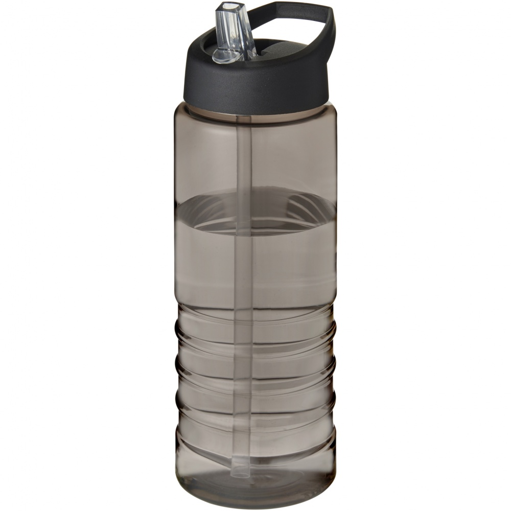Logotrade promotional merchandise picture of: H2O Active® Eco Treble 750 ml spout lid sport bottle 