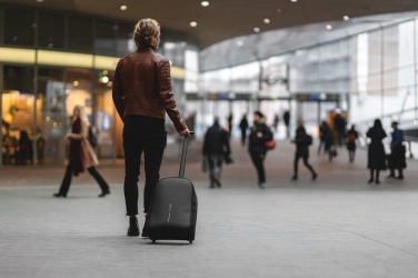 Logo trade promotional merchandise picture of: Bobby backpack trolley