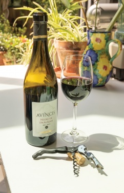 Logo trade corporate gifts picture of: Vino Waiters corkscrew