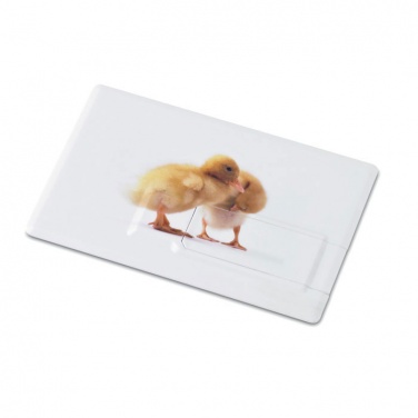 Logotrade business gift image of: Creditcard. USB flash 32GB
