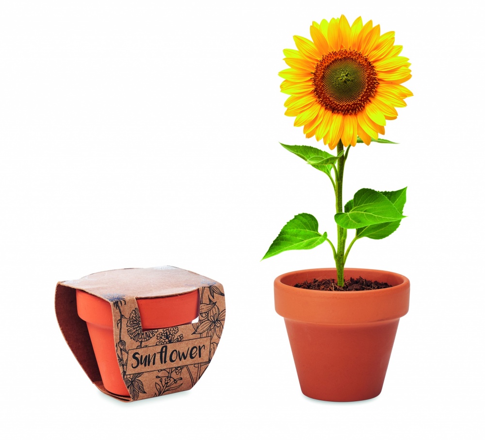 Logo trade corporate gift photo of: Terracotta pot 'sunflower'