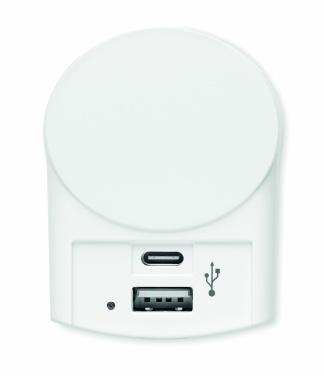Logotrade promotional giveaway image of: Skross Euro USB Charger (AC)