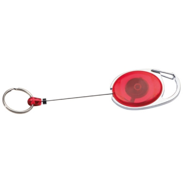 Logotrade promotional products photo of: Ski-Pass with Carabiner Keyring EMPLOYEE