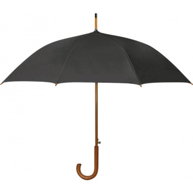 Logotrade promotional merchandise photo of: Automatic Umbrella HASSELT