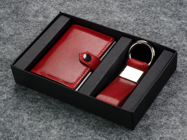 Logotrade promotional giveaway picture of: Set 2168141