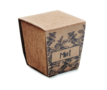 Logotrade promotional gift image of: Mint seeds growing kit