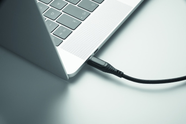 Logotrade promotional gift image of: 100W charging cable type-C
