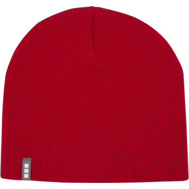 Logotrade corporate gift picture of: Izu beanie