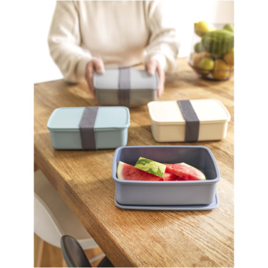 Logo trade promotional giveaways image of: Dovi 800 ml lunch box