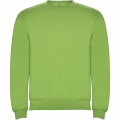 Clasica unisex crewneck pusa, Roheline oaas