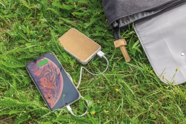 Logo trade ärikingid foto: Korgist ja nisust 5000 mAh taskujõupank