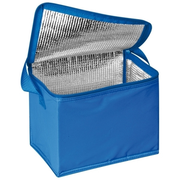 Logotrade reklaamkingid pilt: Külmakott 6 x 0,5 l MESA