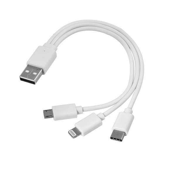 Logo trade reklaamkingid foto: 3-ühes USB-kaabel c-tüüpi + mikro-USB + välk