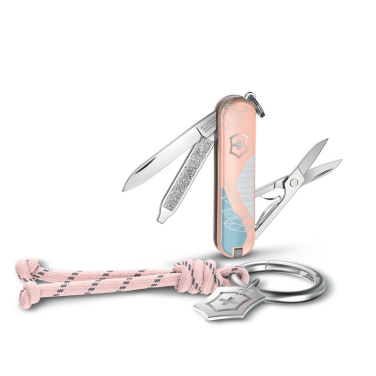 Logotrade reklaamkingituse foto: Victorinox taskunuga Classic SD, 58 mm, Celidor, Paris Style