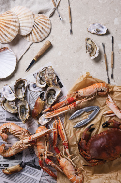 Logotrade liikelahja mainoslahja kuva: VINGA Story of Seafood