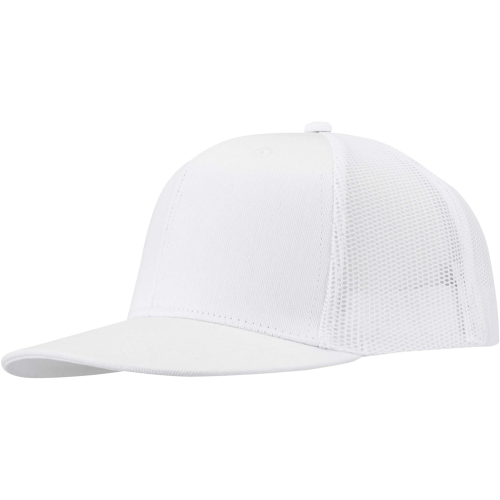 Logo trade liikelahja kuva: Drift Snapback kuusipaneelinen lippis 260 g/m2